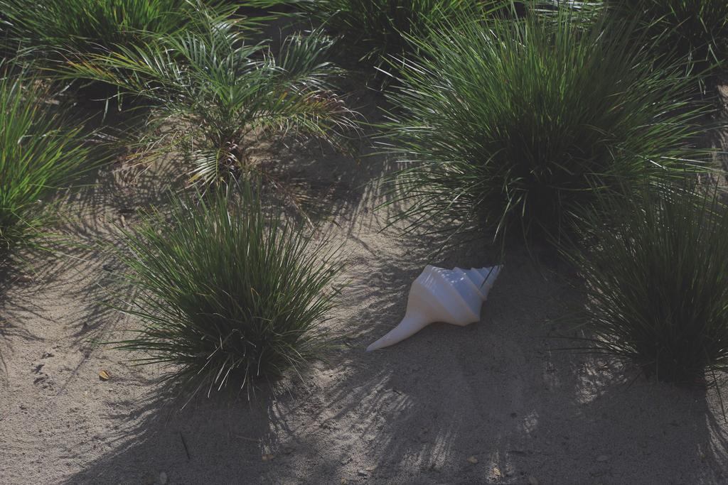 Two Bare Feet Apartment Waihi Luaran gambar