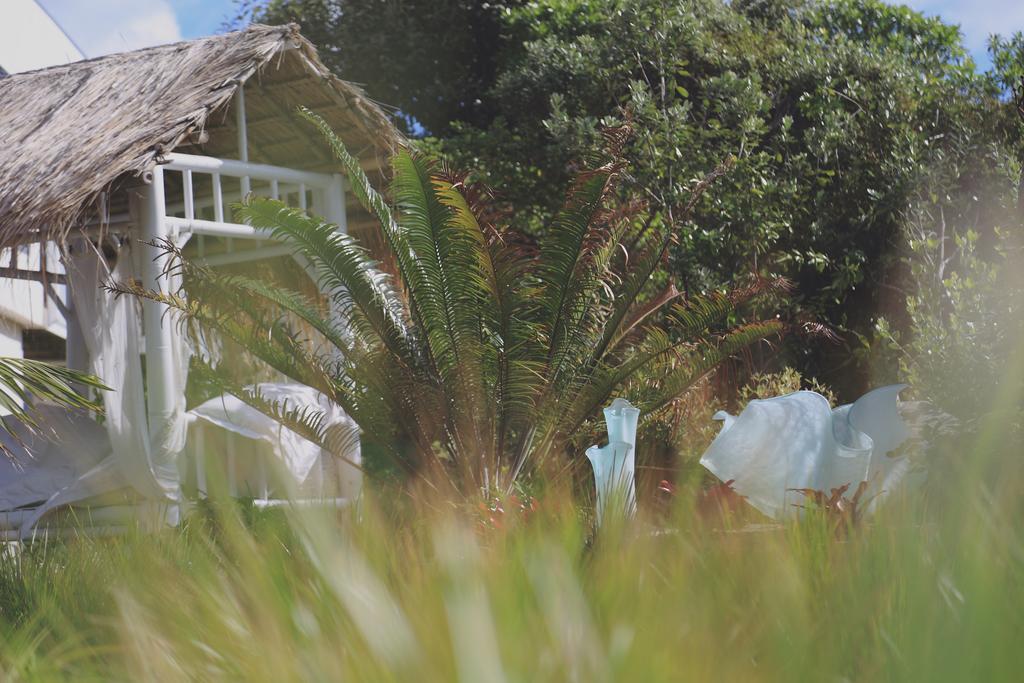 Two Bare Feet Apartment Waihi Luaran gambar